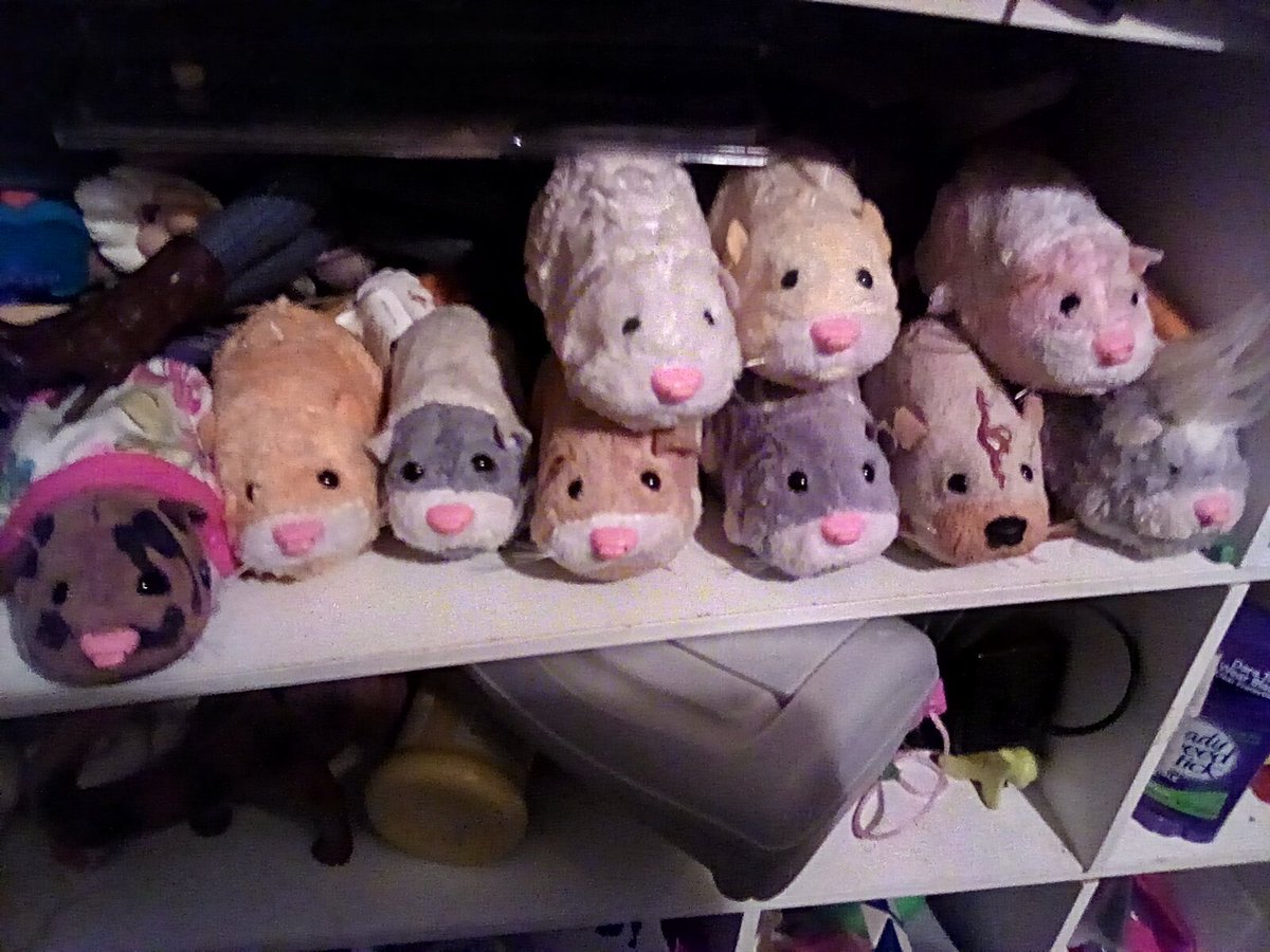 I was in the mood to put my Zhu Zhu pets that I had for 10+ years on the shelf instead of the green container they were in. They were the badass robo hamsters to keep..! #Zhuzhupets #mildcollection #robotics #cybernetic #hamsterrobot #hamsters #robot #robots