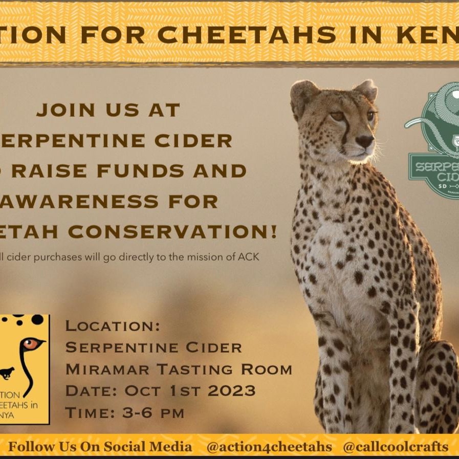 Action for Cheetahs in Kenya tweet media