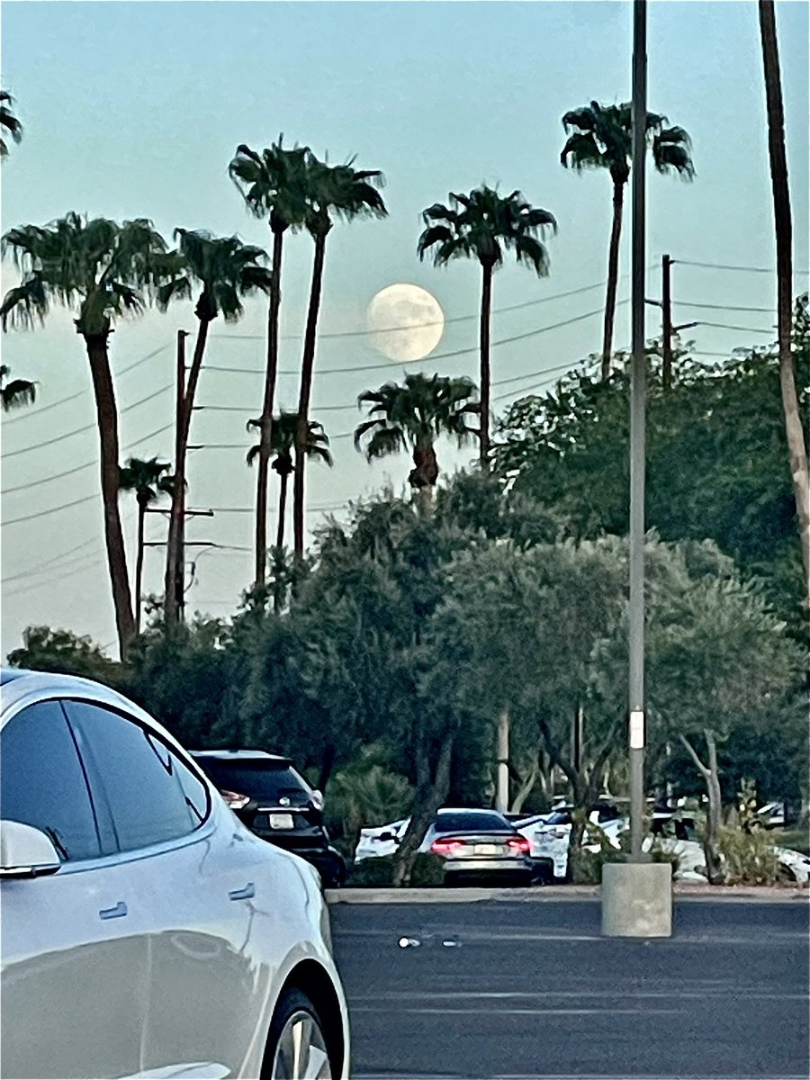 SuleGreg's tweet photo. @jnrbaker Here she is, rising in Tempe, Arizona, USA. We visited Ballymeana, Antrim, the Midlands, Athlone, Dublin &amp; Shannon last June… https://t.co/woGJf6HznV