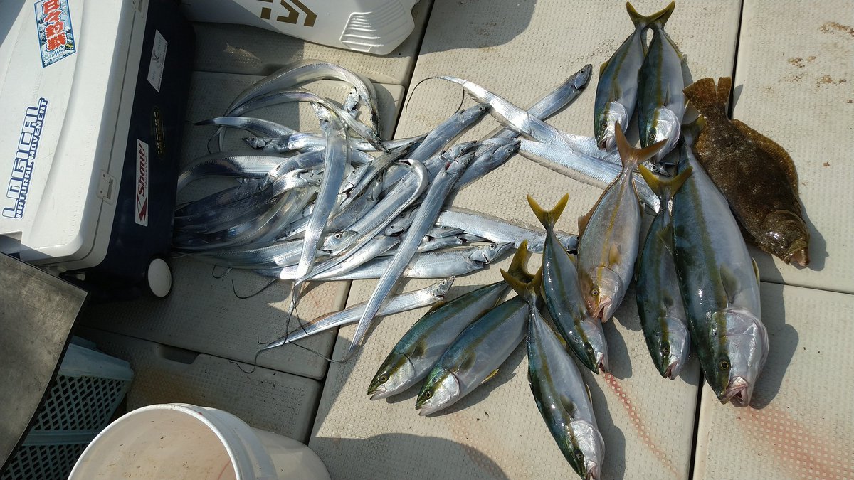 昨日は、遊漁船の船長で鳴門に行ってきました