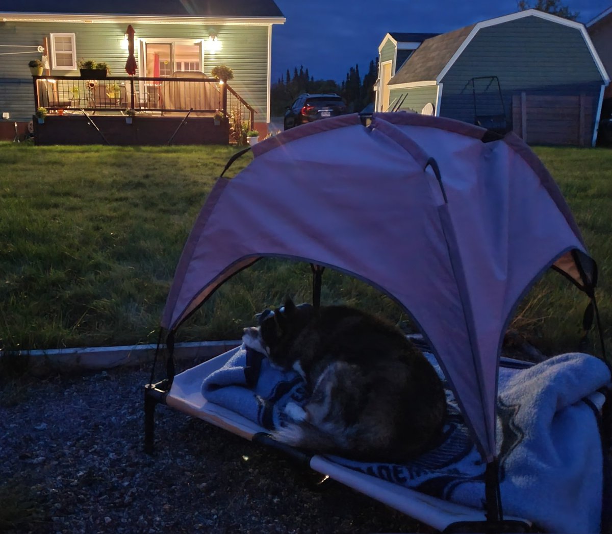 Jenn Baker tweet media