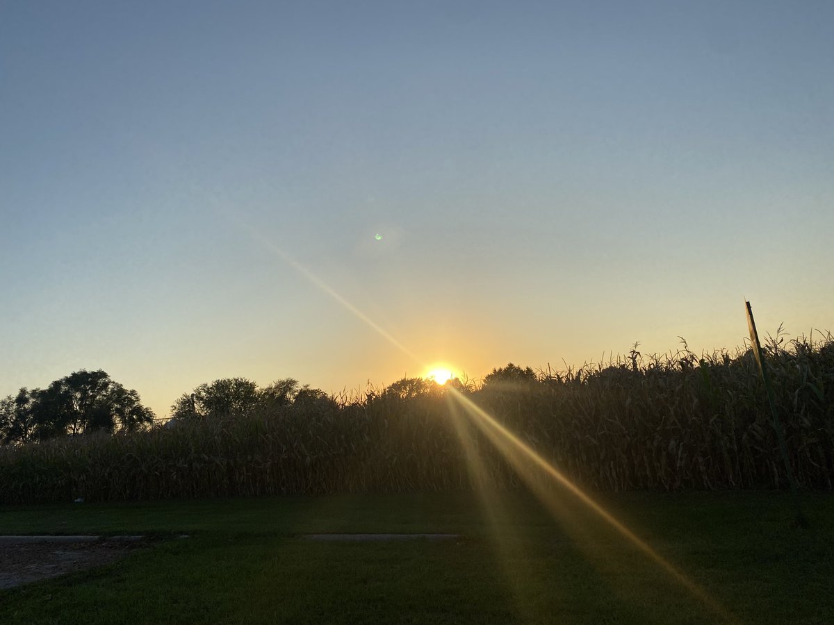 ragloderdzinski's tweet image. 