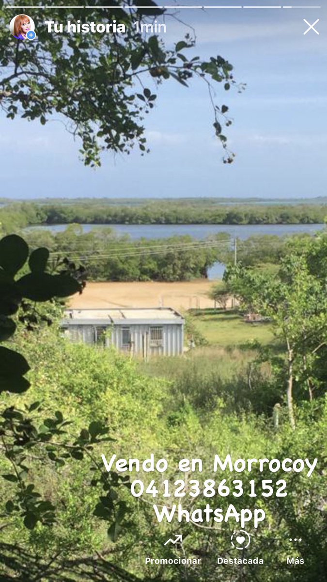 Vendo mi Casa en Morrocoy 🌴información al 04123863152 WhatsApp