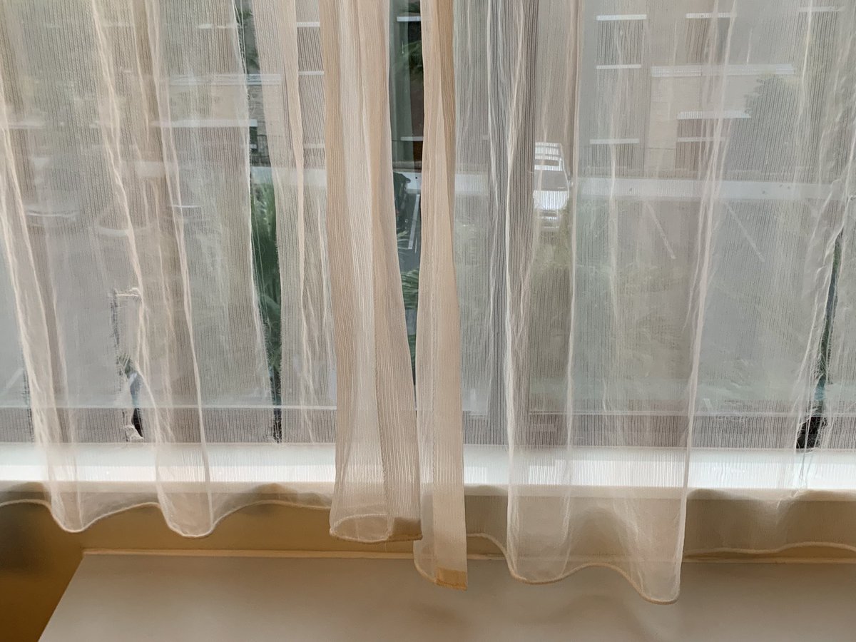 redbonemi's tweet photo. @Hilton this is so unacceptable!! I’m pretty sure there’s enough money to replace the sheer curtains. https://t.co/fBWVQqukJV