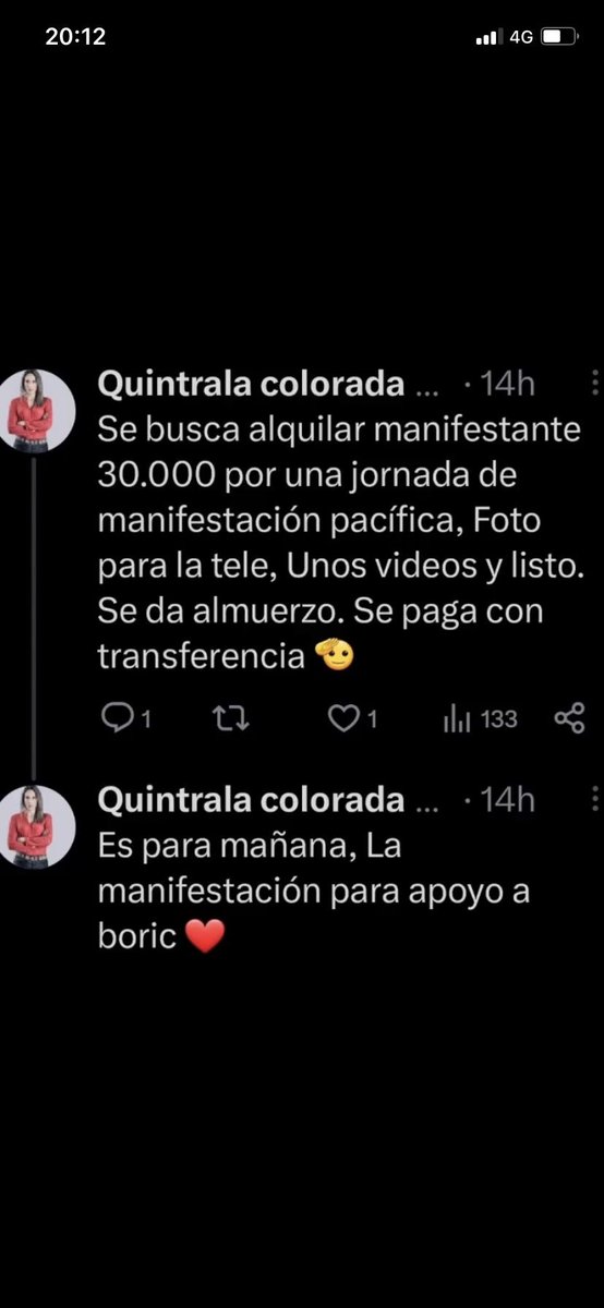La WEONA RIDÍCULA jajajjajsjajajajajjjajajhaa ven que la manifestación era pagada?