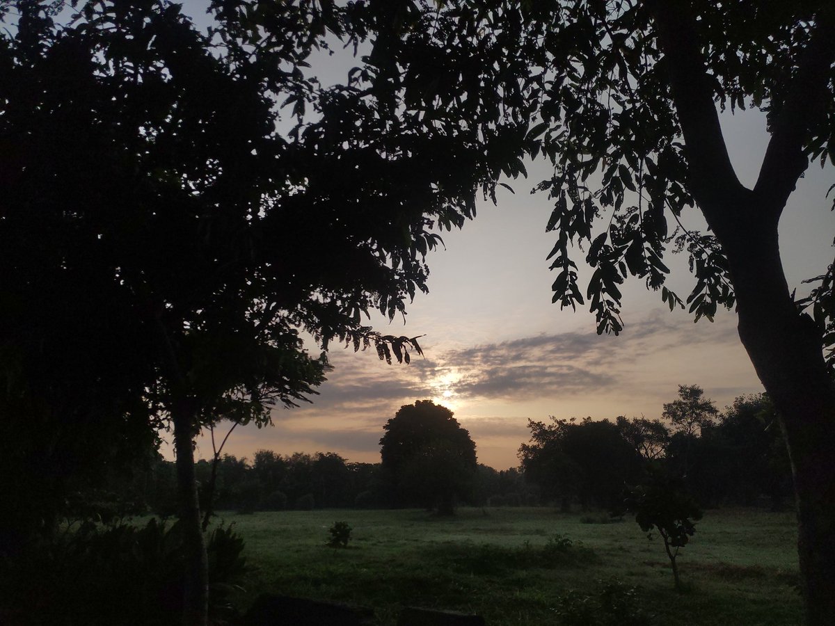 MeniaKomal's tweet photo. Another Day Another Chance
Gööd Morning https://t.co/frMxG7hNh3
