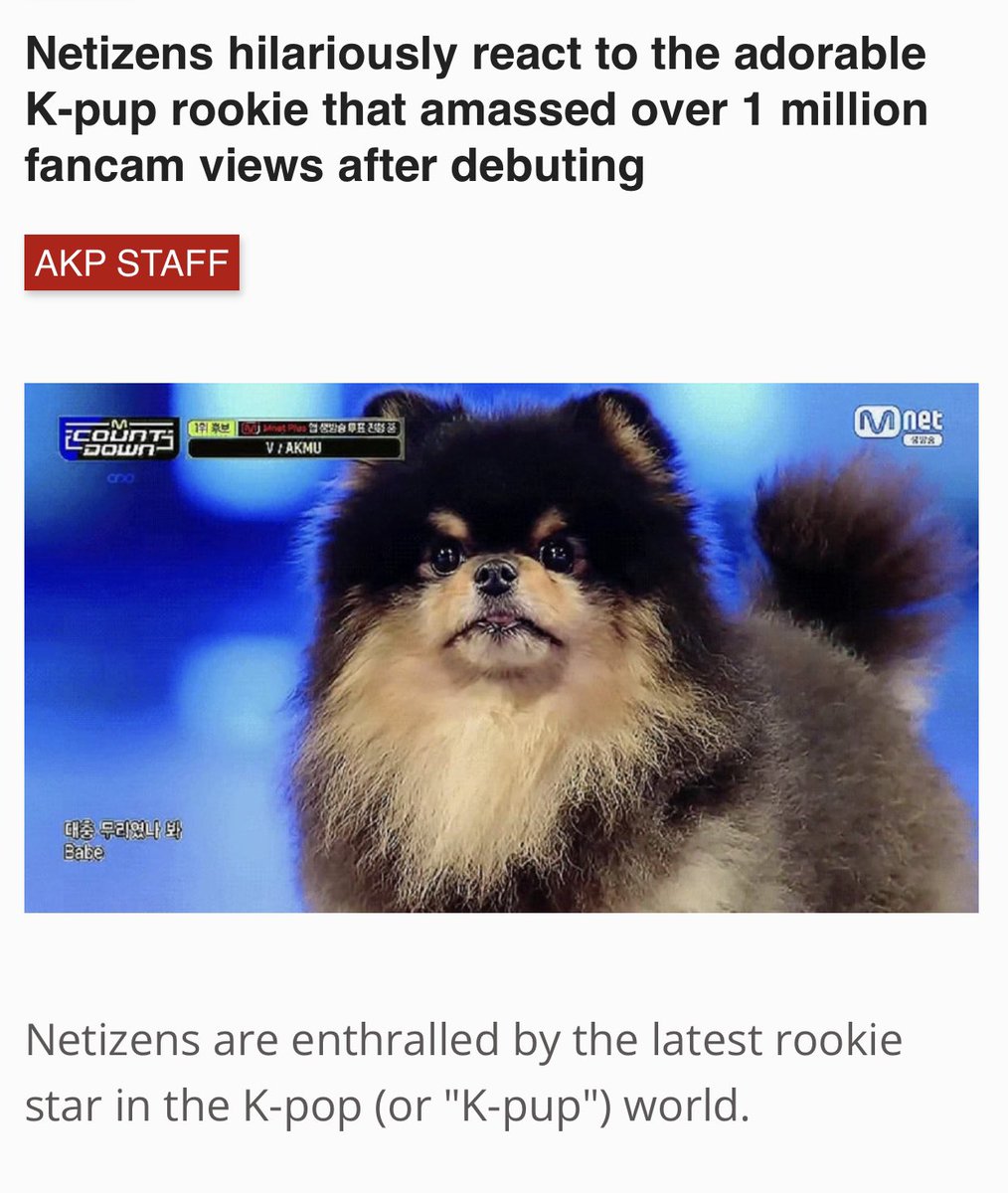 KTH_Nepal's tweet photo. 🗞️
Netizens hilariously react to #BTSV's adorable #Kpup #rookie (Yeontan) that amassed over 1M fancam views after debuting
 🗣️Please make a comeback 
🗣️He is the visual center 
🗣️It's his debut stage but he is so good at finding the camera 
🗣️Superstar Tan 
🗣️I became a fan https://t.co/bIPuV9l5Bl
