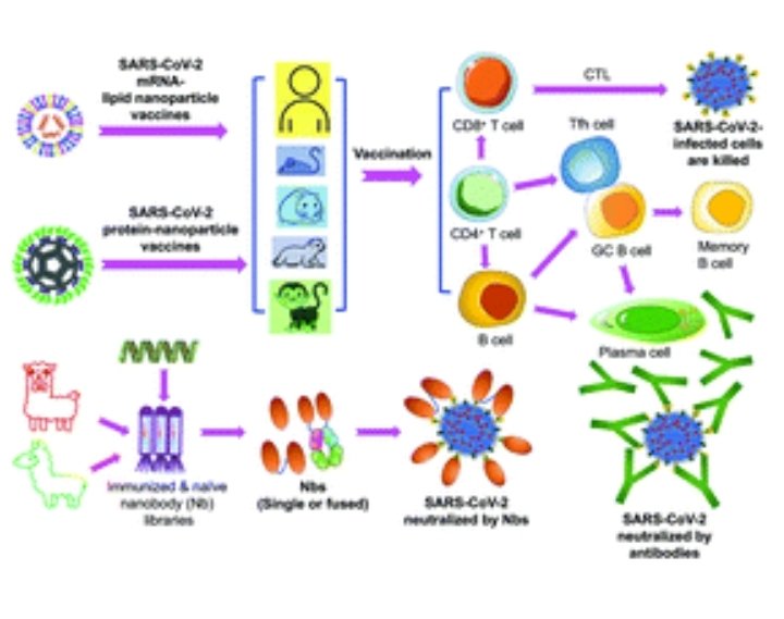 ForkedFilosophy's tweet image. #Nanotech 
         In you

       #NanoRobots
In your medicine
 
                    #NanoParticles
          In everything

      Even your #Donuts 🍩 

Wake up, fight back, change your diet, change your life.

@remotelyrising