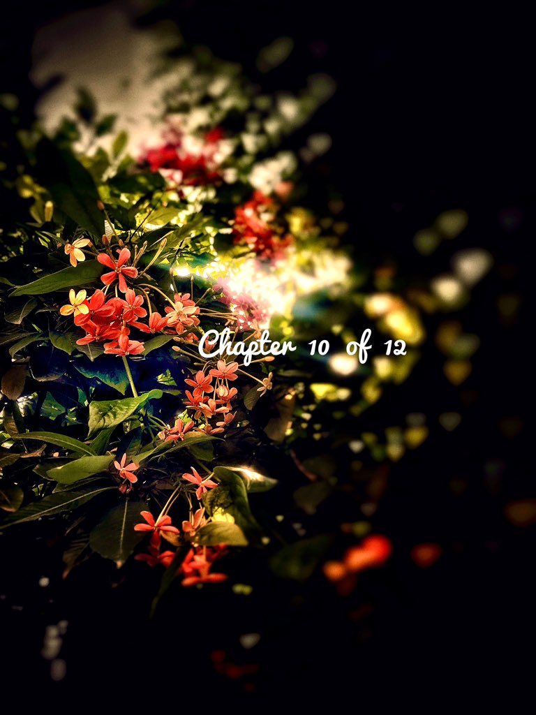 bellarosa000's tweet image. Hello  October 🍂🍁🍃🌿
#HeaderUpdate