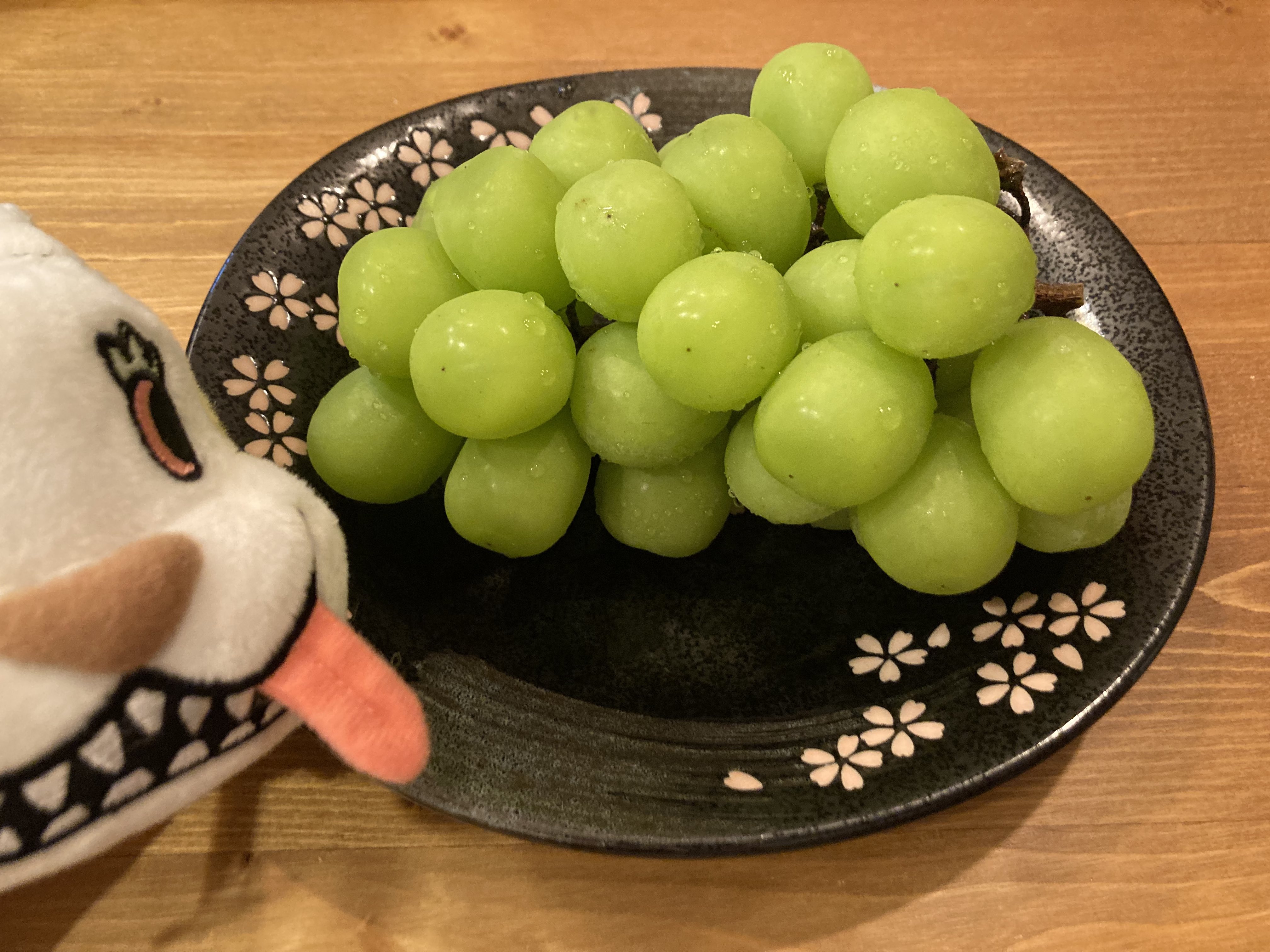 でかつよちゃん - Search / X