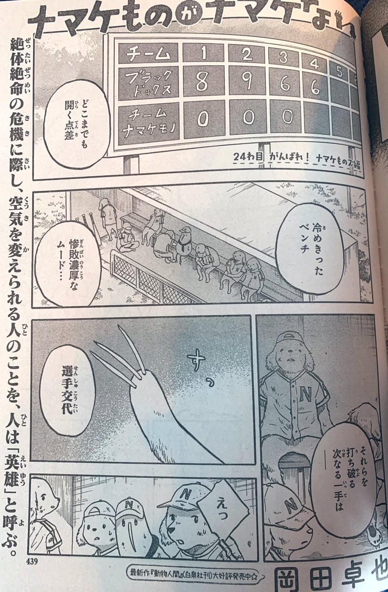 発売中のBELOVEにて「ナマケものがナマケない」の最新話が載っております!
今回は野球の監督を務めるナマケモノさん❗️果たして野球の神様は微笑むのか⁉︎微笑みます⚾️見てね! 