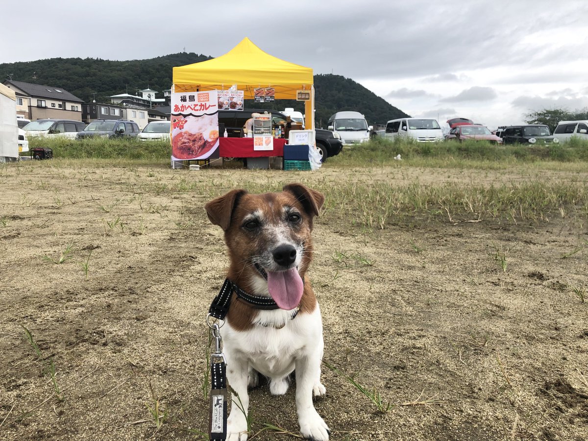 tk7575erh's tweet photo. イベントの見学に行ったら
出店であかべこカレーが販売されてたよ https://t.co/VSDXLABYsD