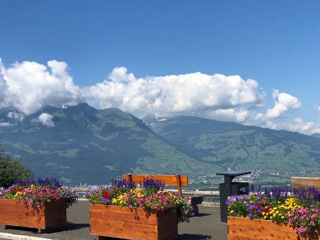whileiwalkbook's tweet photo. “School rewards with a certificate; nature rewards with enlightenment.”

― Michael Bassey Johnson, Song of a Nature Lover

Photos: Hiking in scenic Liechtenstein

#Hiking #TheGreatOutdoors #Nature https://t.co/0rMviawgk2