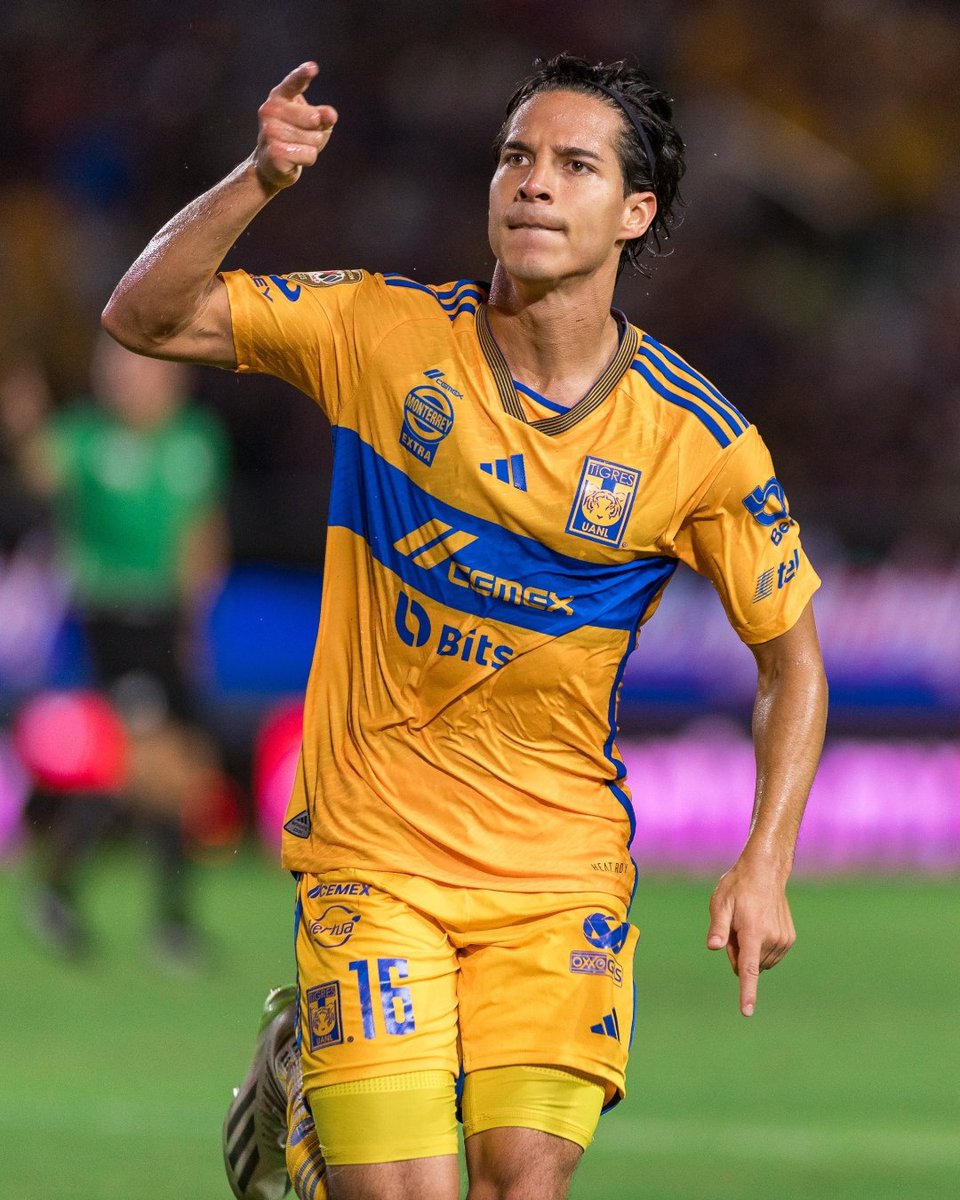 ClubTigresEN's tweet photo. 🔥 Back-to-back #LigaMXEng games with a goal for this man! 👊

𝐄𝐋 𝐅𝐀��𝐓𝐎𝐑. https://t.co/uo6Y4i5cfE
