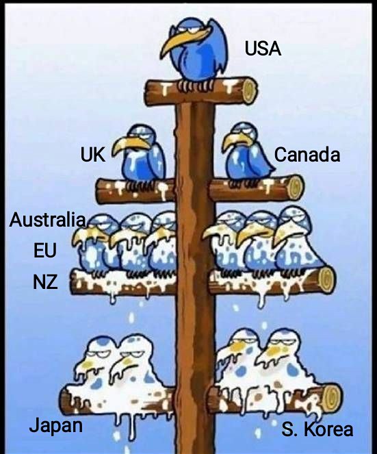 thinking_panda's tweet photo. The hierarchy of the 'free world'😂 https://t.co/dnv4DHPltG