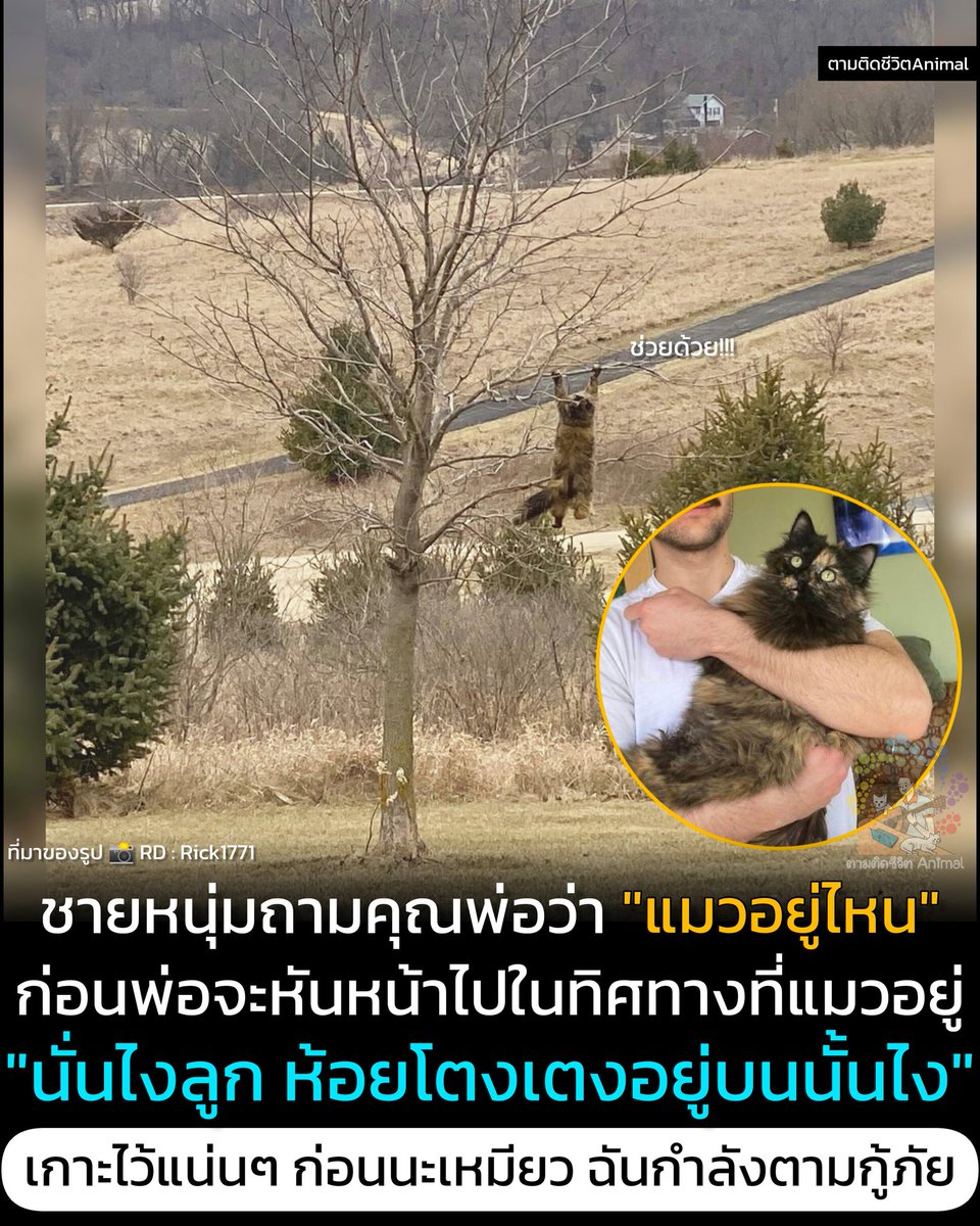 ตามติดชีวิตAnimal tweet media