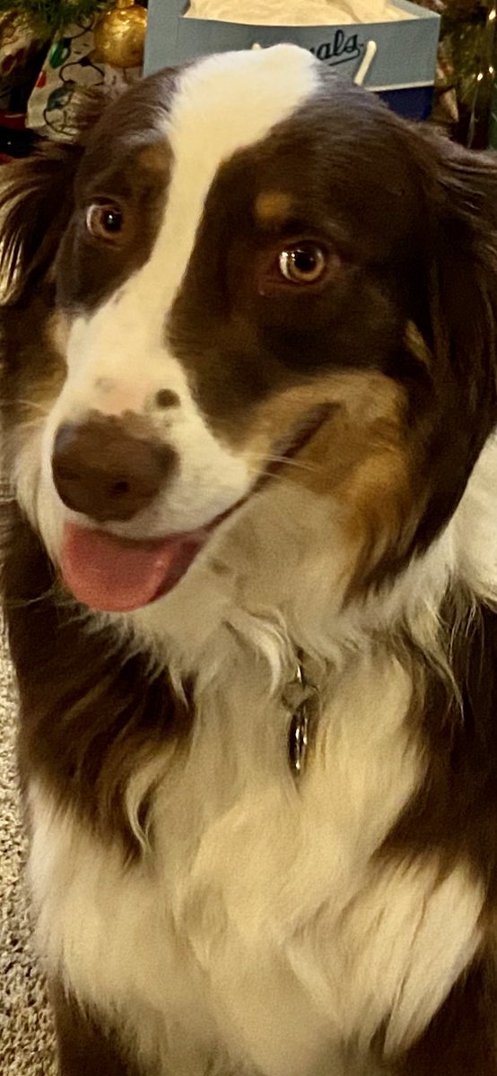 MAB tweet media
