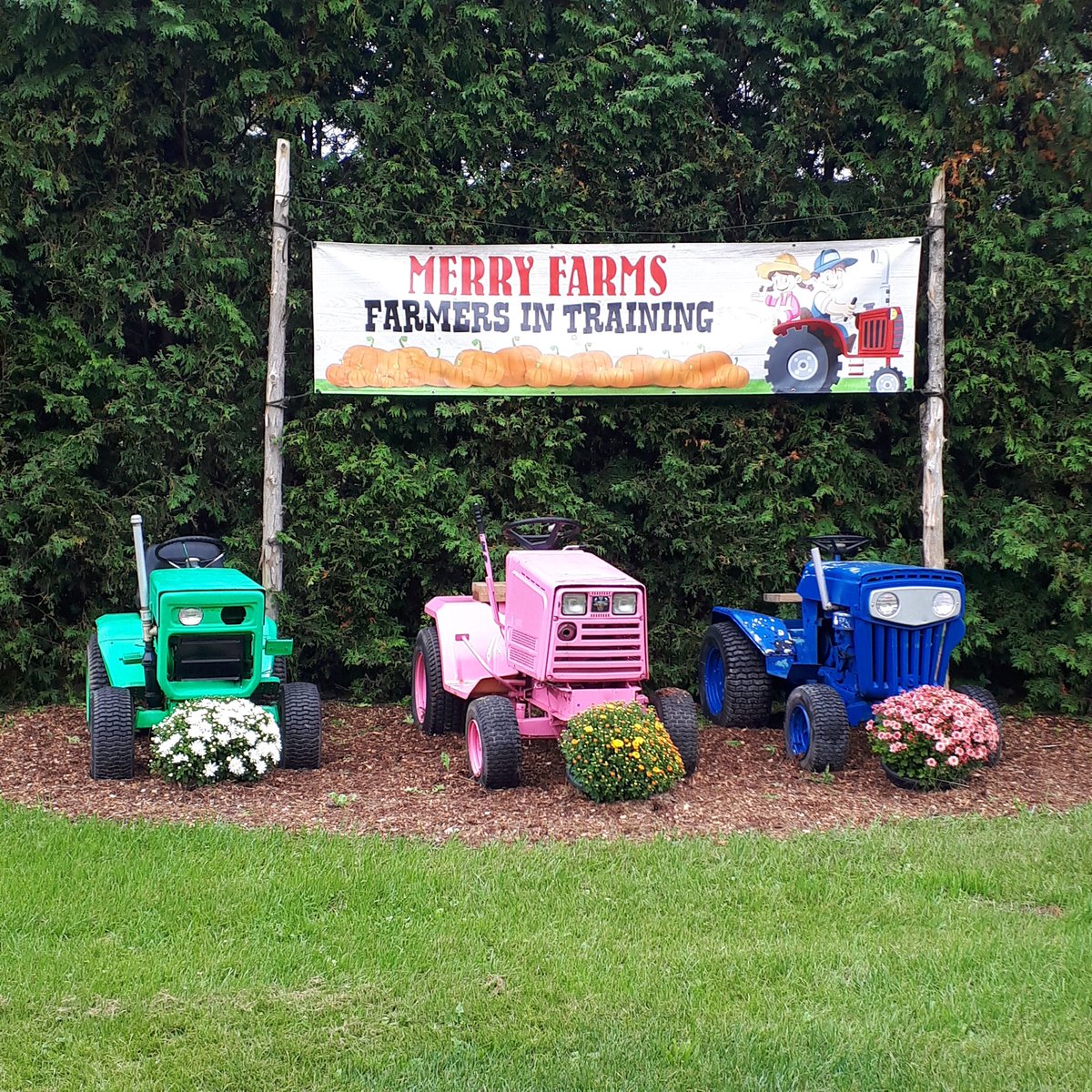 TeamPerogy's tweet image. We're back at @MerryFarms today from 10 am to 5 pm with the stuffed. Handcrafted Perogies Food Trailer for #PumpkinFest!

You'll find us over by the 🎃 Giant #PumpkinPad which is just a short tractor ride away from the main gate.  Hope to see you there!