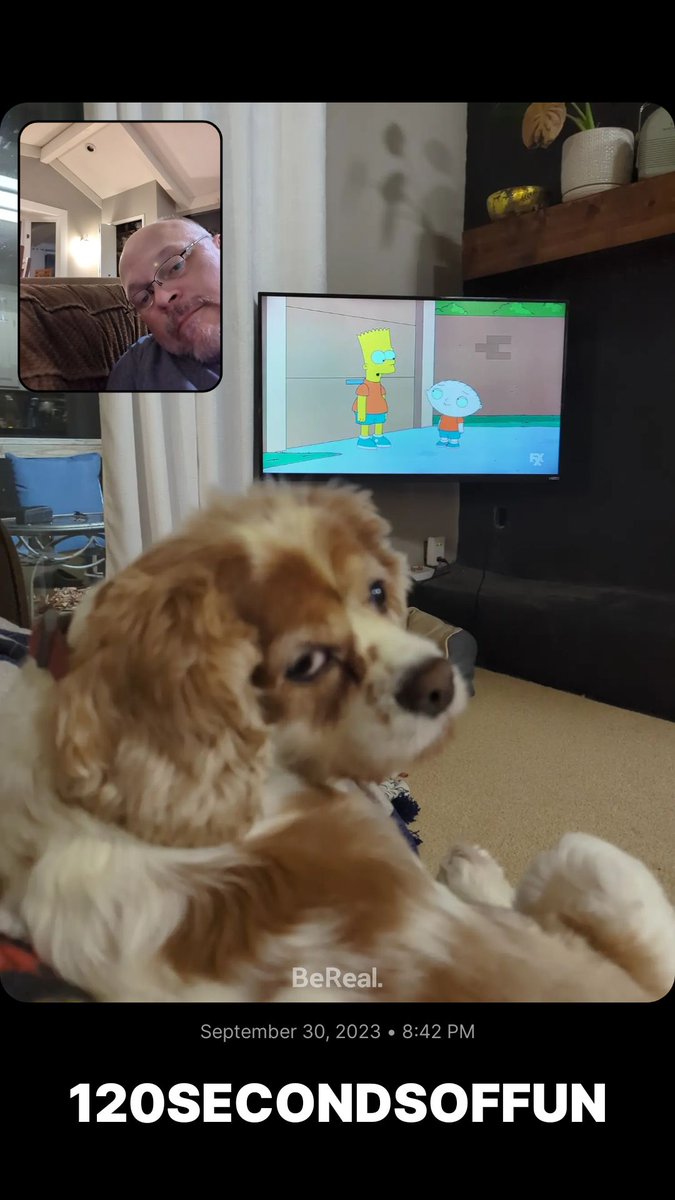 Add me on BeReal.
bere.al/120secondsoffun