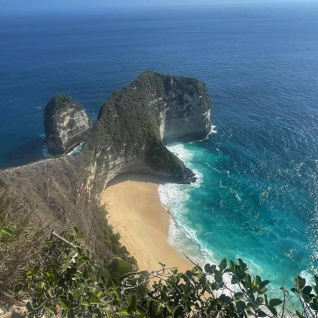 Ronald Bos tweet media