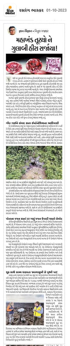 sonali tweet media