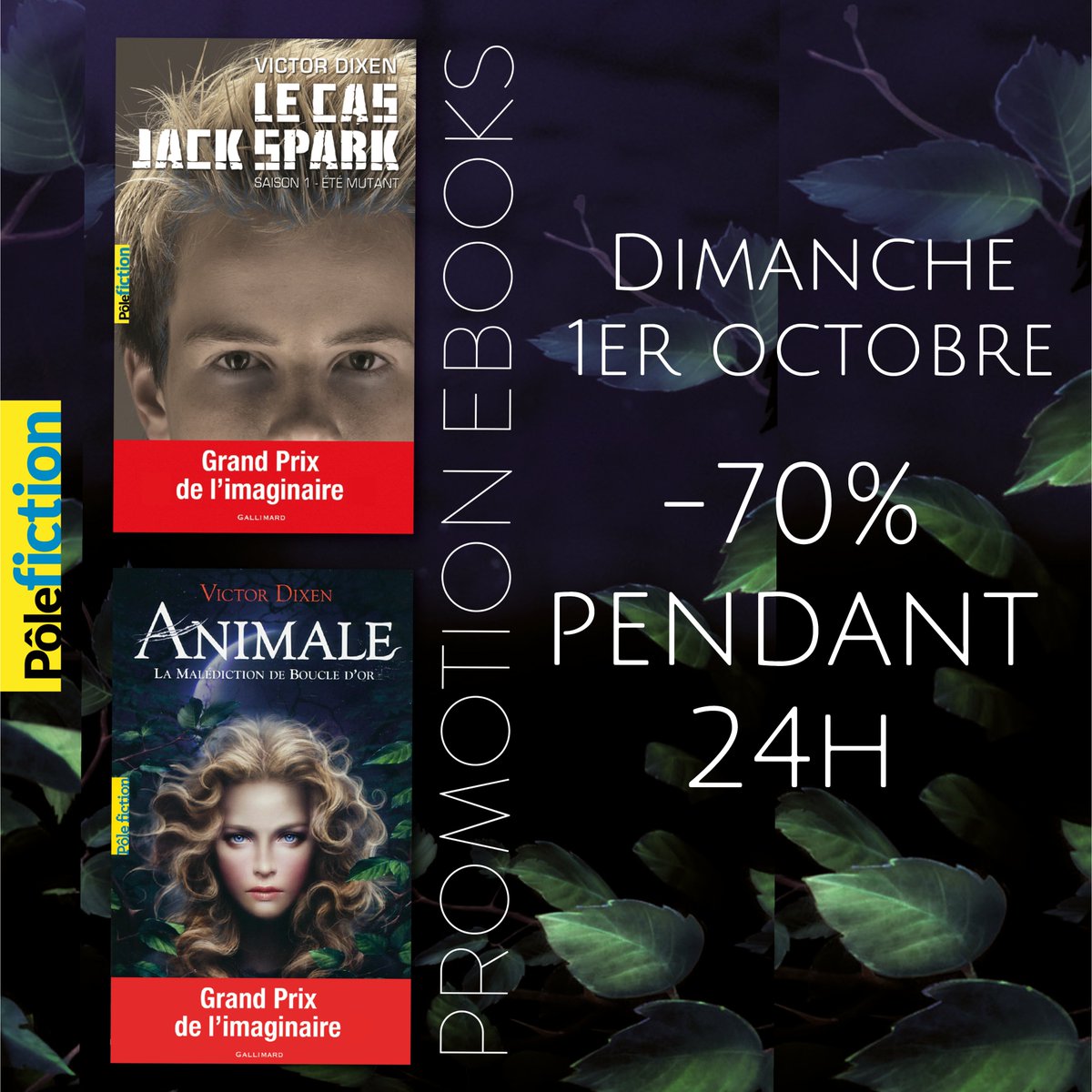 VictorDixen's tweet photo. 🏷️ Deux Grands Prix de l’Imaginaire Jeunesse à un prix inimaginable ? Ce dimanche 1er octobre, les ebooks de JACK SPARK et ANIMALE sont à -70% pendant seulement 24h ! 😉
➡️ https://t.co/PomDOpCyHt
#lecasjackspark #jackspark #etemutant #animale #lamaledictiondeboucledor https://t.co/blQ4cPwGsb