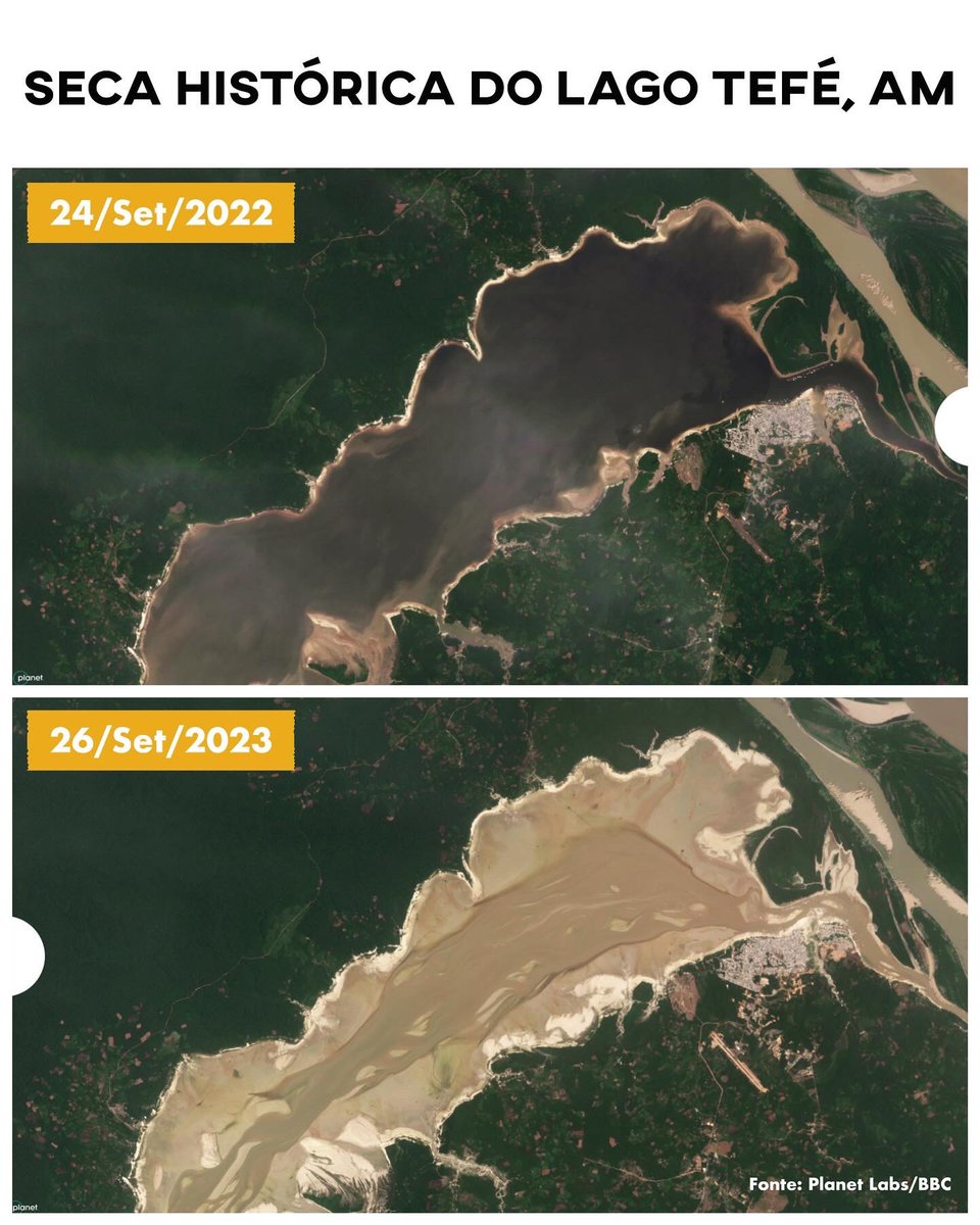 caetanosca's tweet photo. #SecaNoAmazonas - Mais de 100 botos mortos no Lago Tefé, AM. Instituto Mamiraua solta Nota a Sociedade. Tristes tempos… https://t.co/cfUSspnlrH