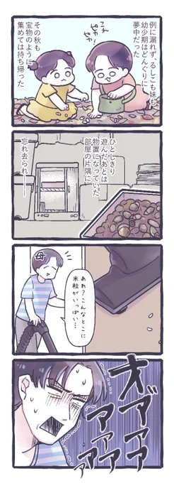 時期なので再掲しますね…🍂 