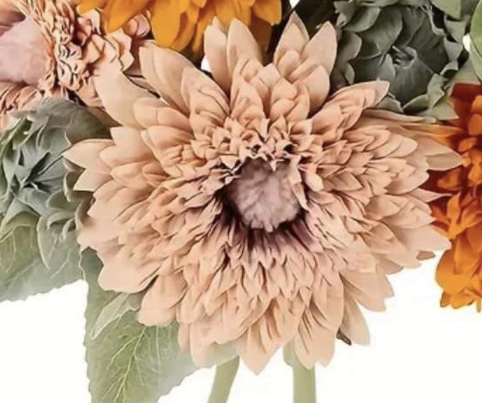 Ordering some fake flowers and check out the color of this flower. 😆😆  I mean, they&rsquo;re not wrong&hellip; https://t