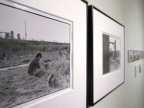 gallery_avi tweet picture