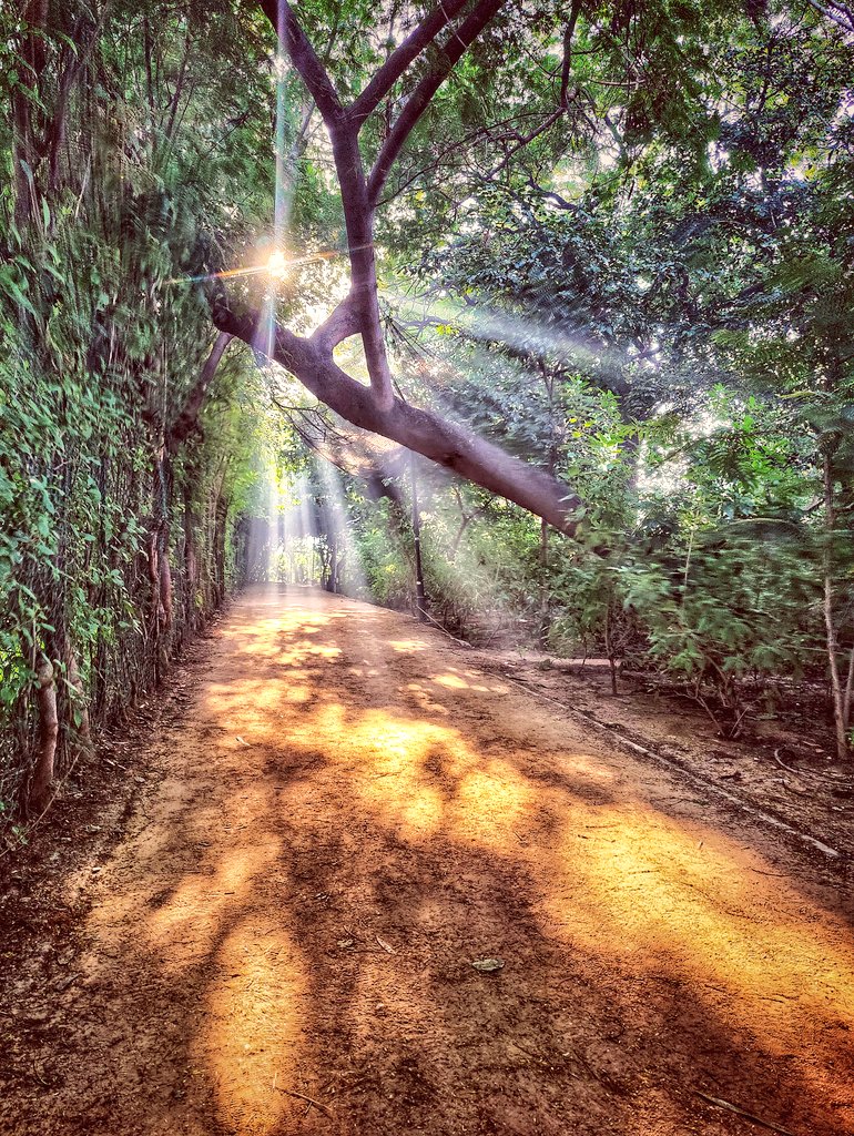 artizzzz's tweet photo. Paradise has never been about places. It exists in moments. In connection. In flashes across time.
Victoria Erickson
#OctoberDiaries https://t.co/wM4qe0XDQk