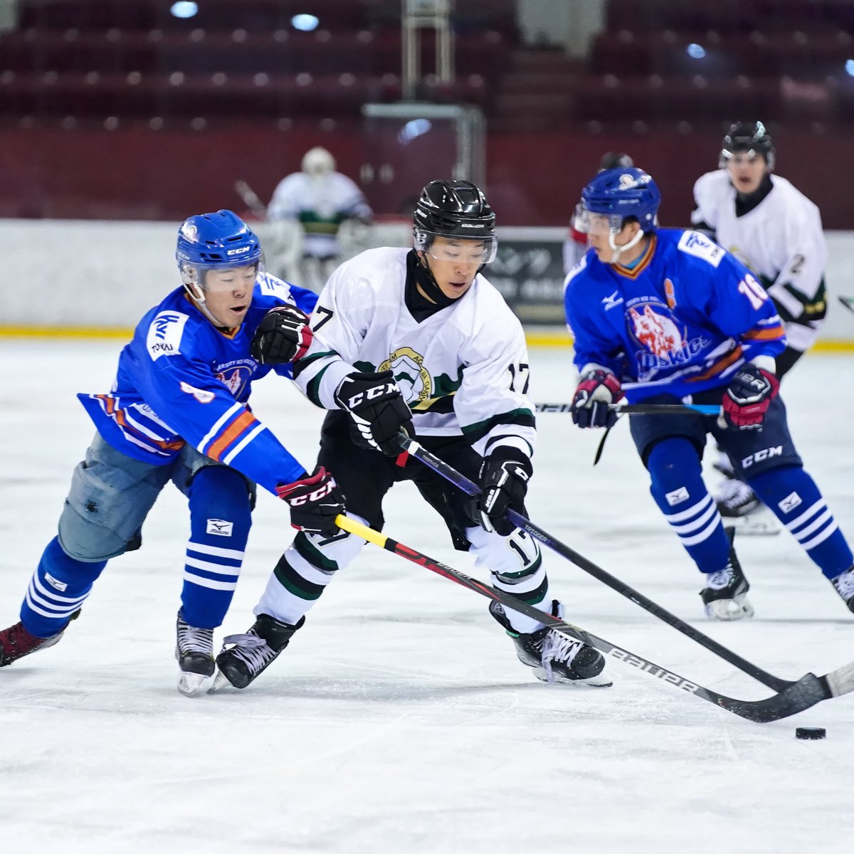icehockeystream's tweet photo. [2023/10/1] #東海大学 1-3 #青山学院大学

▼
#2023年度関東大学アイスホッケーリーグ戦
#関東大学アイスホッケー
#東京都アイスホッケー連盟
#アイスホッケー #icehockey 
▼
#SonyAlpha #SonyAlpha9 #Sonyα9 #SonyA9 https://t.co/V9ZV7ykNQ5