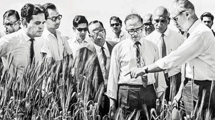 While the neighboring countries of India and Pakistan were at war, a few like-minded individuals were working on growing a new variety of wheat seeds that was going to bring about a revolution. 1/22