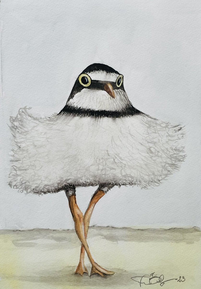 Min senaste tavla  ”Ballerinakråka”
Akvarell    20X30      2023
 (Instagram.com/janoberg1/