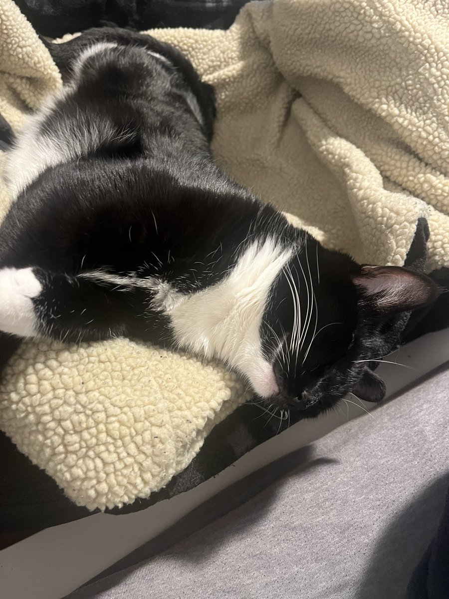 she living her best life
