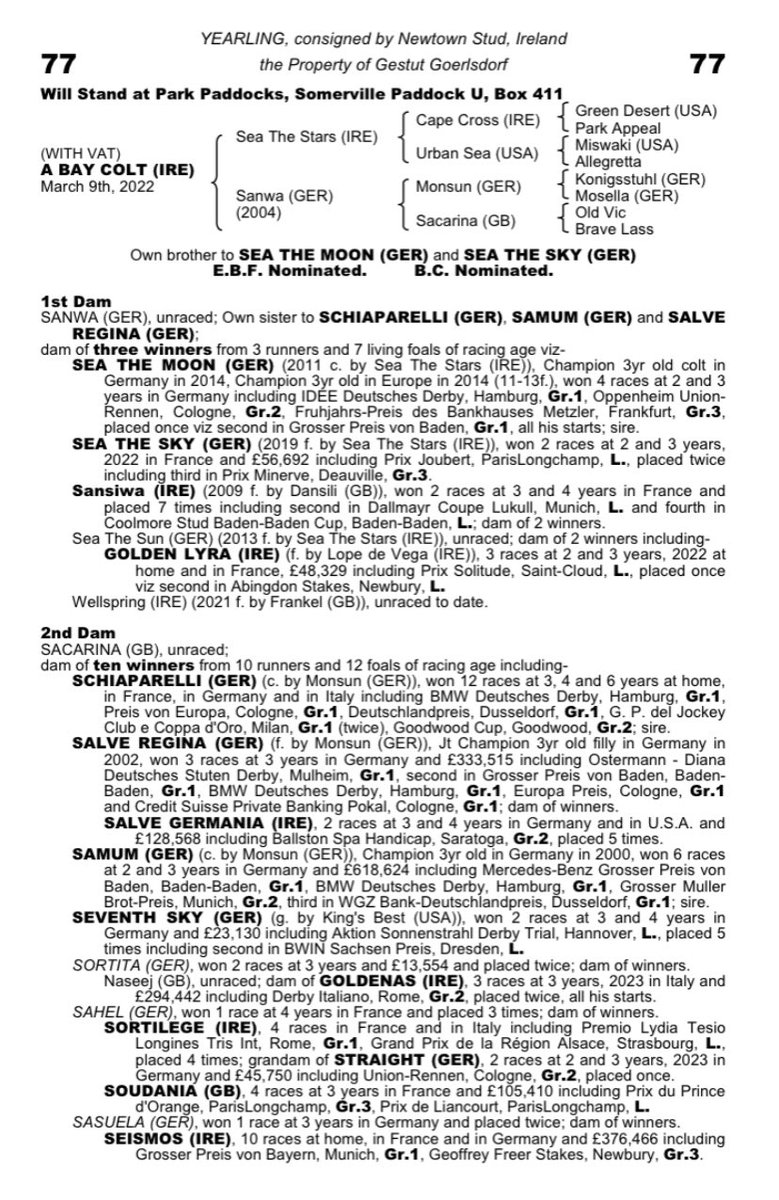 Newtown Stud tweet media