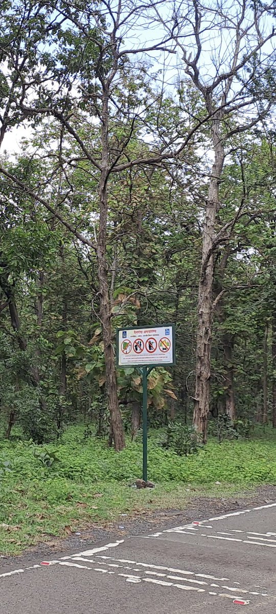 jayotibanerjee's tweet photo. #MelghatTigerReserve has tried to repair & build better equipped #ForestProtectionCamp for Frontline Foresters;
These remote camps now are Fenced with Sinages, have Solar Units, Water Hand Pumps, Attached Washrooms,
sometimes even a tiny kitchen garden & many time fruit trees 🙂 https://t.co/OukRrQo275