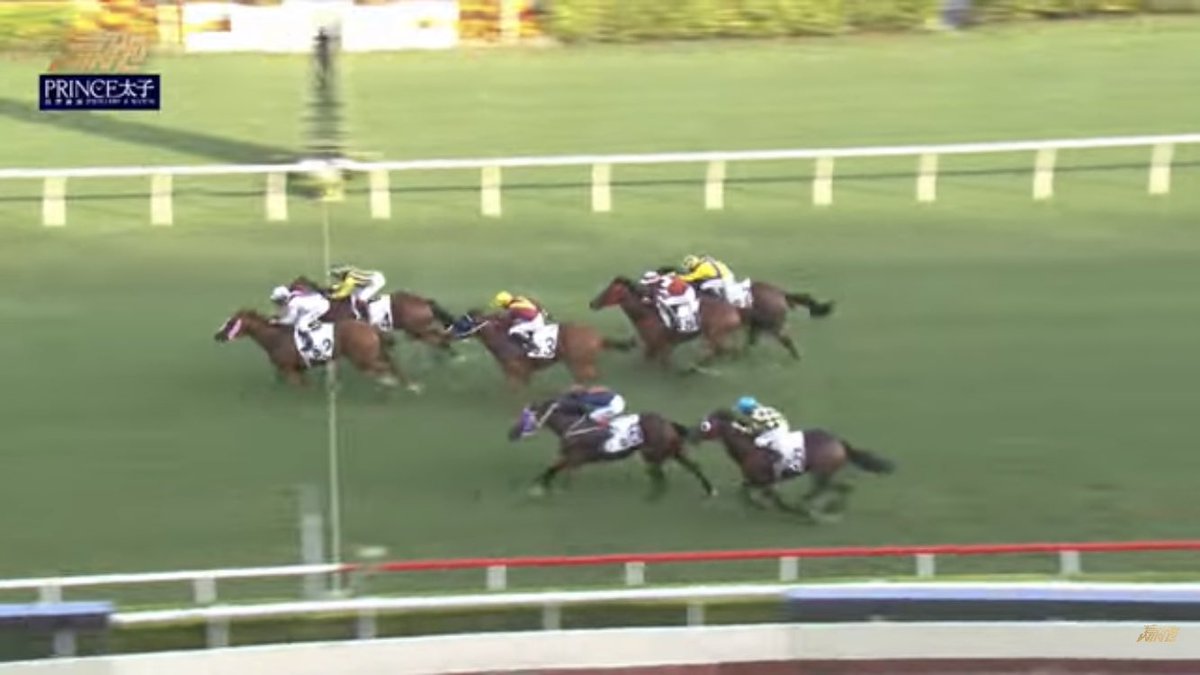 ChareneWoo's tweet photo. Congrats @ma_josiah for another winner👏🏻👏🏻👏🏻
STOLTZ too good to win G3 ❤️

#HKRacing https://t.co/UqBJN8Yo16
