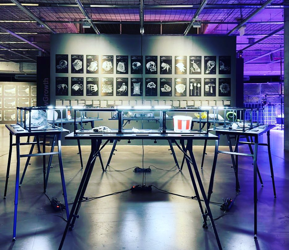 NEST Networking Ecologically Smart Territories tweet media