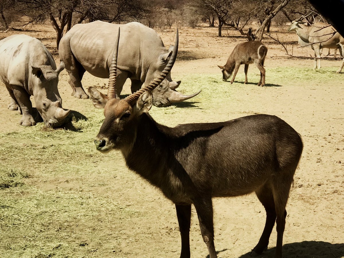 skeleta_tours tweet picture
