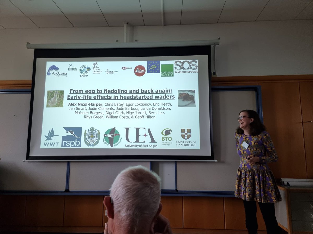 Alex Nicol-Harper tweet media