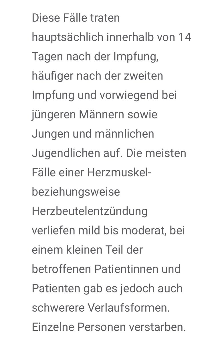 stefanie tweet media