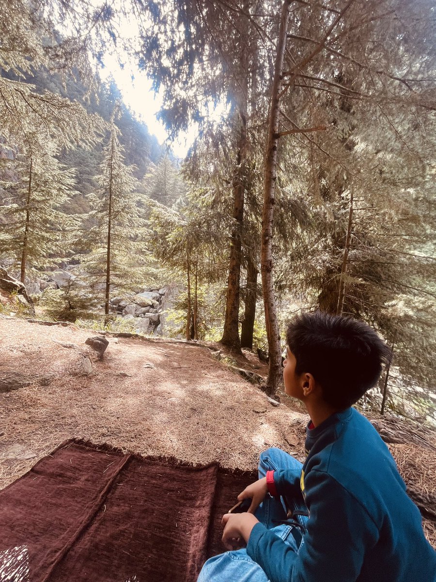 Nothing quite like a day in the woods… #forest #walk #naturetherapy #woods #AutumnVibes #fall #kashmir #pine