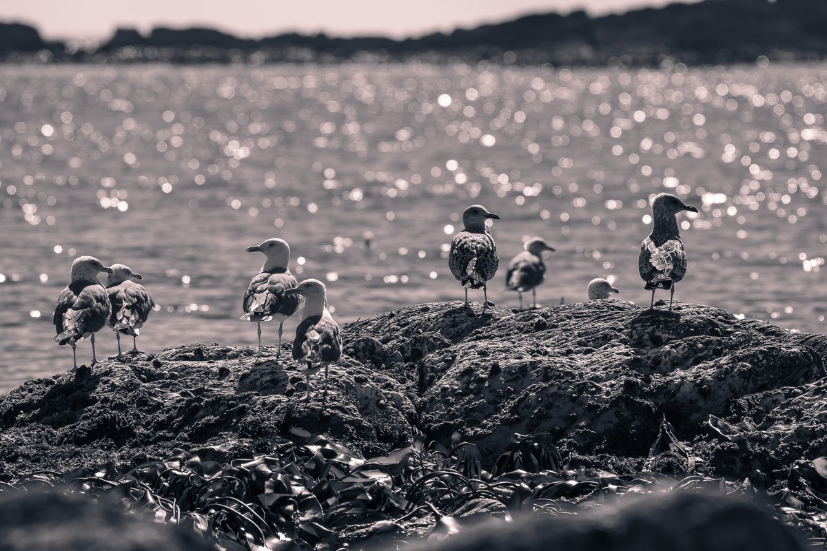 Wishing you all a lovely Sunday morning!