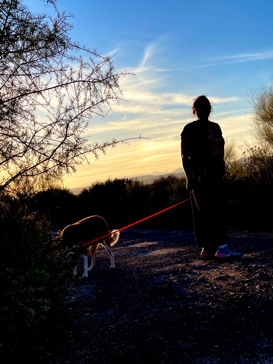 LyfInTransit's tweet photo. Everyday under the Spanish sun is a discovery. I invite you to share with me the joys of walking and how we are no longer the same when we emerge out of a forest walk! That’s a new you- a healthier and happier version of your own self! 

#30daysofSpain with #lyfintransit https://t.co/qUfftbRdjp