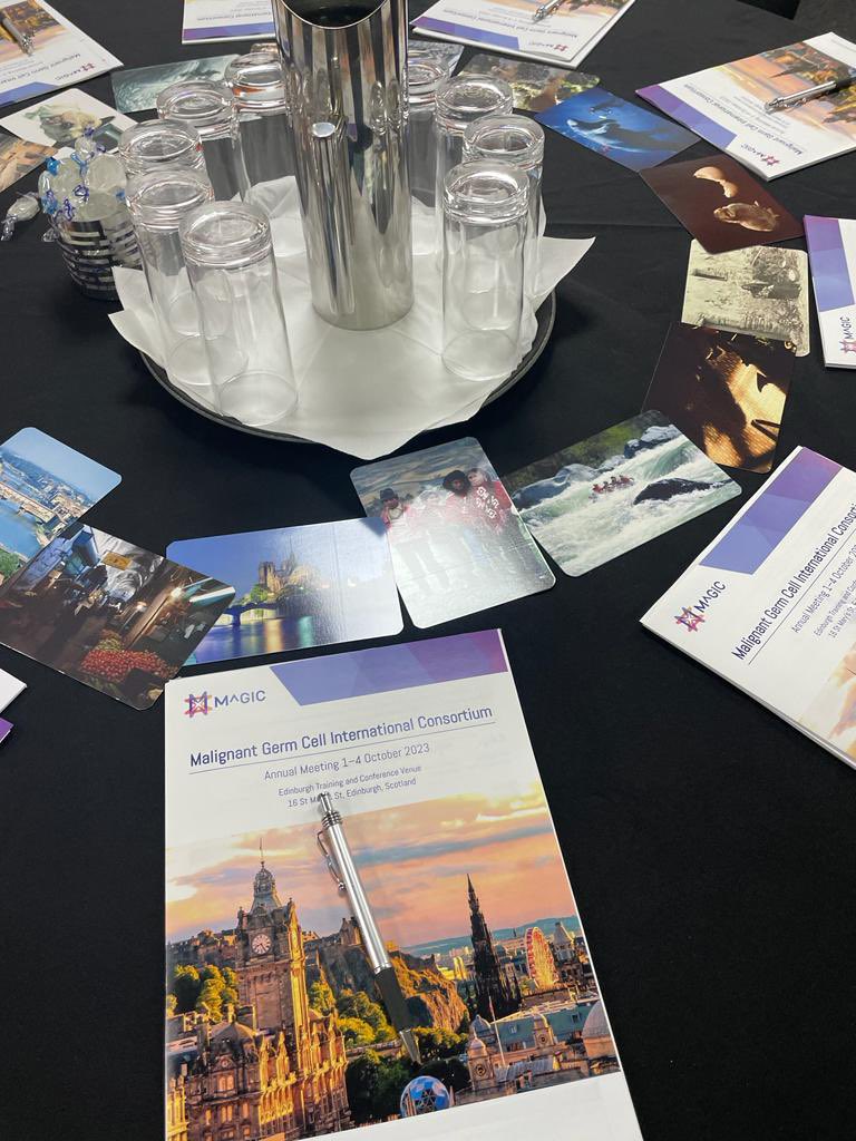 cclguk's tweet photo. We’re excited to host the @MaGIC_GCT Annual Meeting in Edinburgh this weekend, where leading global experts are coming together to discuss and share latest #research on how best to treat #GermCellTumours in adults and children 💫📣 https://t.co/oKWXveVvBu