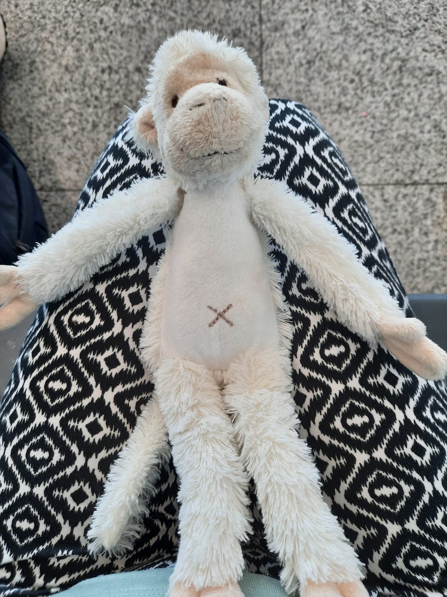 Ik vond dit aapje 🐒 op 1 oktober rond 11u op @airportMalaga .
Nu vliegt 🛩er een klein vriendje alleen naar huis😪.Van wie is dit aapje , laat het mij weten ik stuur hem na waar ook in de wereld🌍.Graat RT.