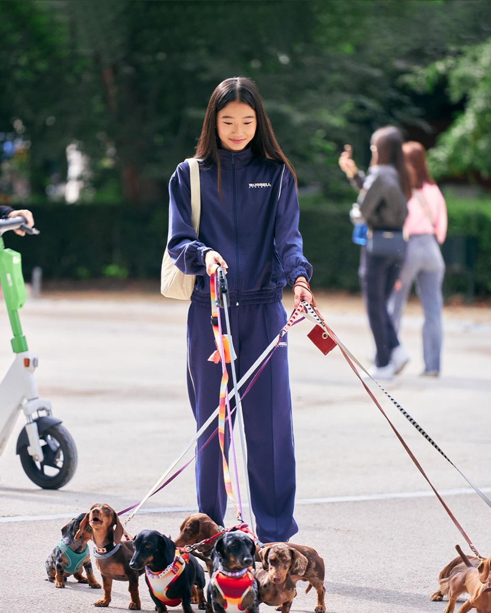 The most extreme sport ever 🐕

Russell Athletic by <a href="/pullandbear/">Pull&Bear</a>