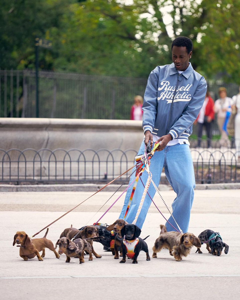The most extreme sport ever 🐕    

Russell Athletic by <a href="/pullandbear/">Pull&Bear</a>