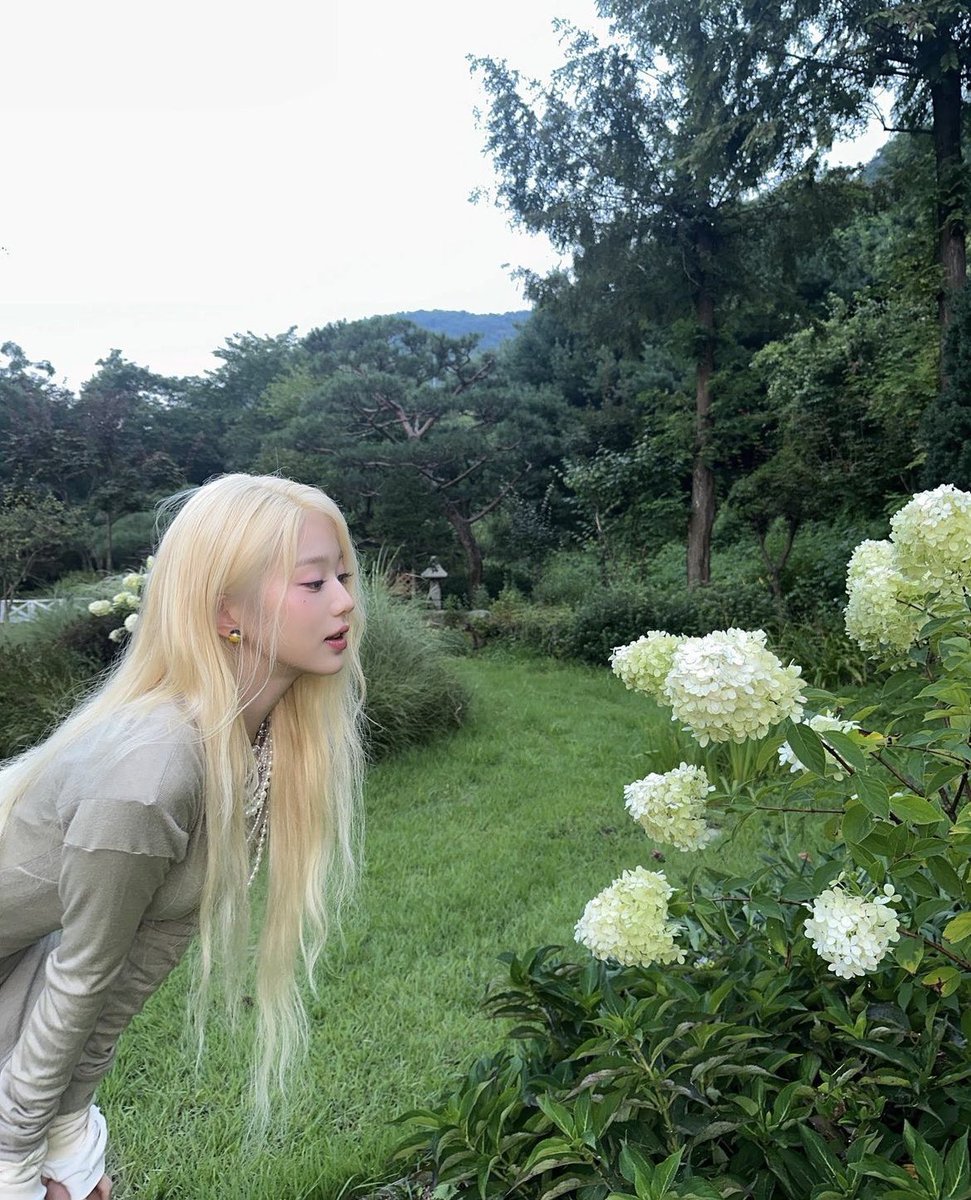 wonyoung pics tweet media